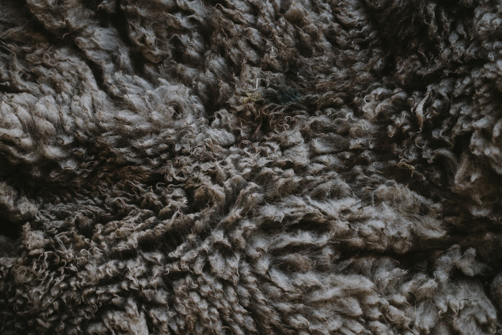 Merino_Wool_fleece.jpg